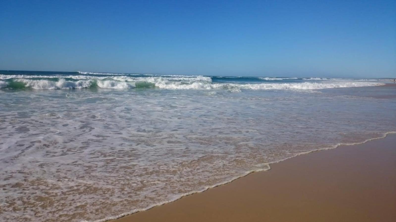 Bisca Costinha Biscarrosse Quarto foto
